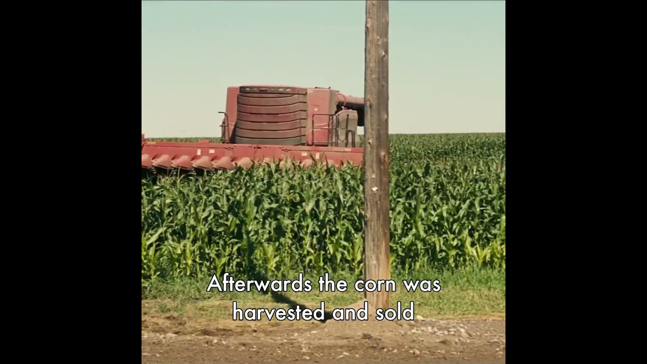 Did You Know This About "Interstellar?" 