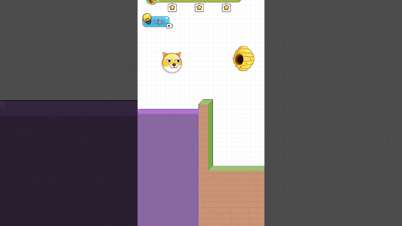 Save the dog level 15 