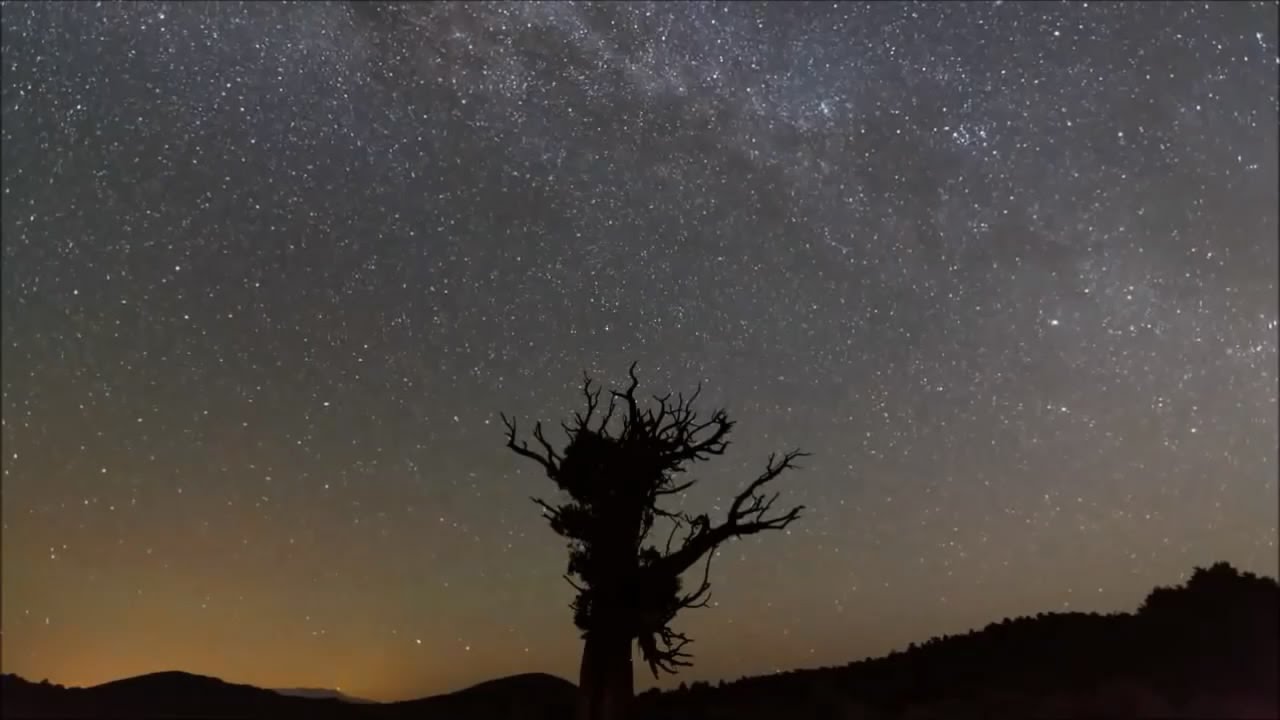 誰的眼淚在飛~~孟庭葦