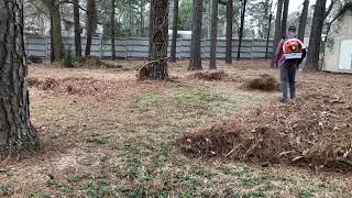 SATISFYING: Pine Needle Cleanup Using Blowers