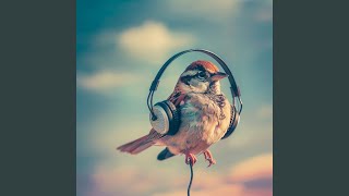 Feathered Melodic Echo