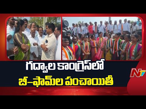 Gadwal: గద్వాల కాంగ్రెస్‌లో బీ–ఫామ్‌ల పంచాయితీ | NTV Telugu - NTVTELUGU