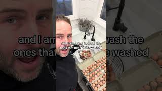 How Do We Package The Eggs Every Day? Heres How