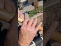 native american flute