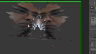 warped 3d face