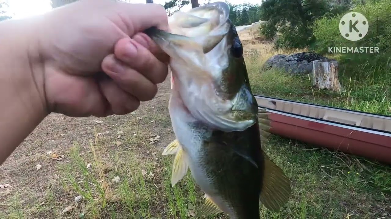 2023 Noma Resort Bass Fishing