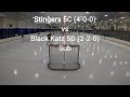 Beer League Goalie: Stingers 5C vs Black Katz 5D
