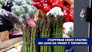 Стартував сезон спаржі: які ціни на ринку у Тернополі