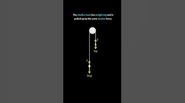 A-Level Mechanics: Pegs and Pulley Systems 🎓 #maths #mechanics #engineering #physics #mathanimation