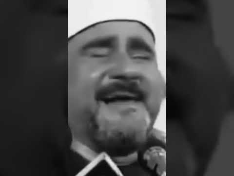 الشيخ السيد متولي عبدالعال 
