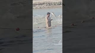 I Am Fishing In The Fool fishing sittingonthedockofthebay