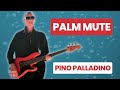 Le palm mute de pino palladino 