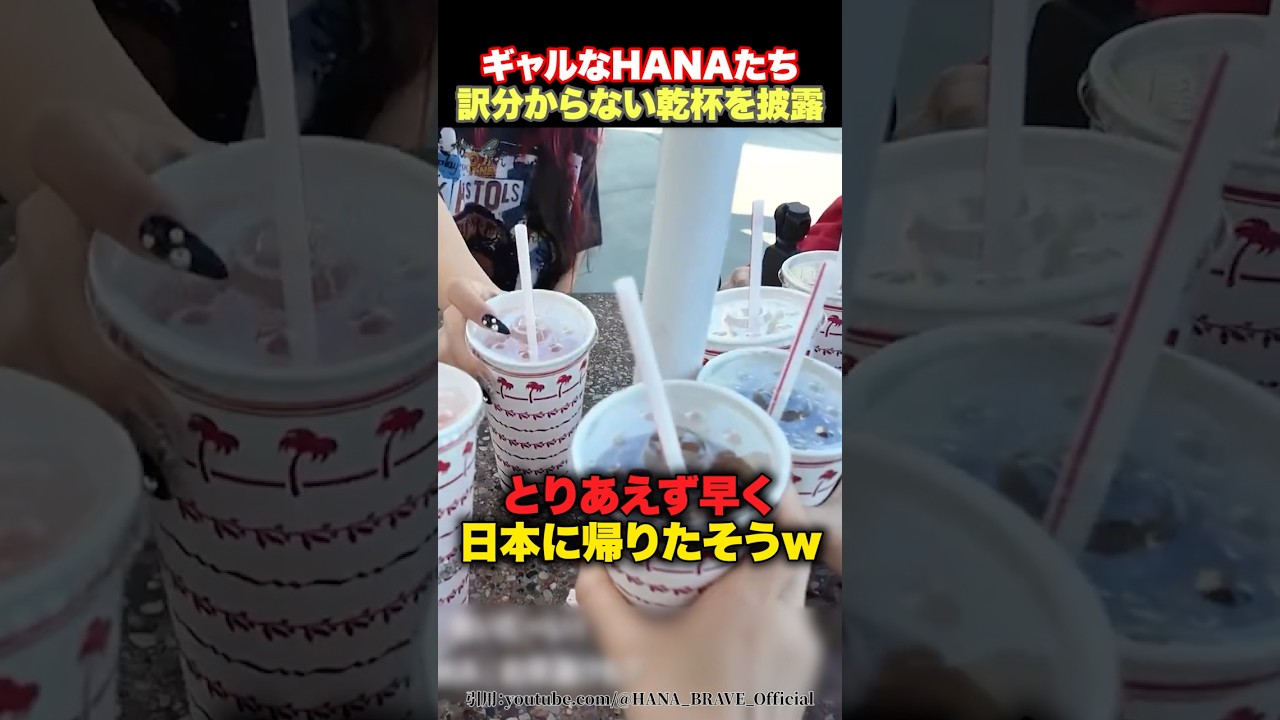 【日本食恋しい】ギャルなHANAたちのよく分からない乾杯www