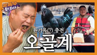Silky fowl mukbang in Yanggu [Sportsmen Mukbang EP114]