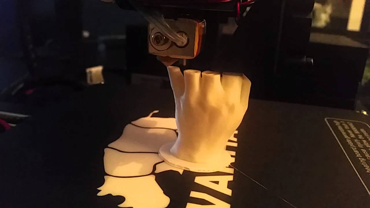 Wanhao Duplicator i3 v2 - Test Print!