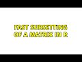 Fast subsetting of a matrix in R (2 Solutions!!)