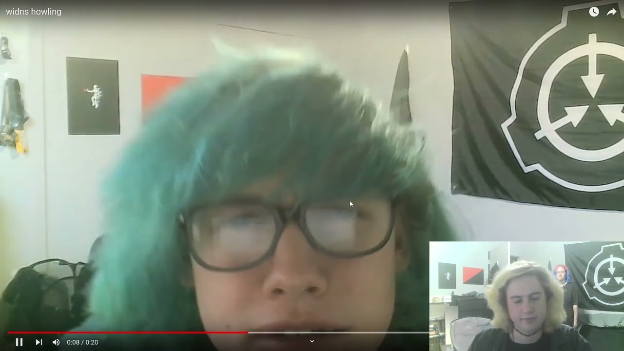 Widns Howling (Directors Commentary)