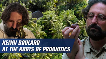 Quand prendre Saccharomyces boulardii ?