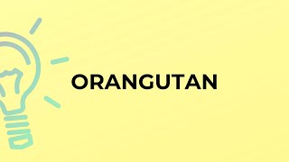 What is the meaning of the word ORANGUTAN?