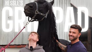 Shoeing the HUGE stallion Hessle | how I deal with his injury