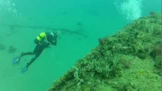 Diving Gibraltar With Simply Diving
