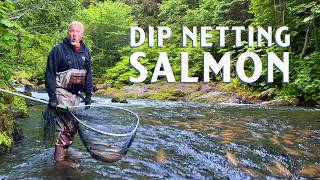 The Famous China Poot Salmon Run | Alaska Catch & Cook