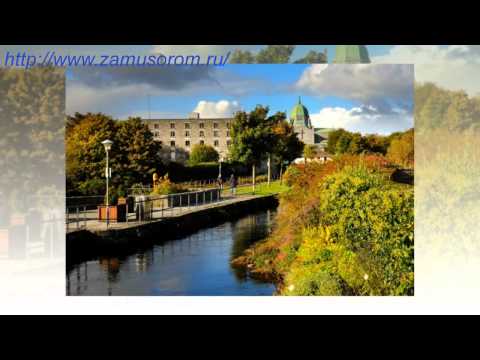 Услуги экологического консалтинга в СПб || Разработка паспорта опасного отхода