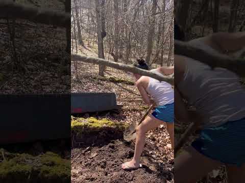 Made this just for the wildlife