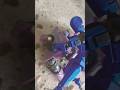 sapphire dummy 13 variant#dummy13#figurasaccion#titan13#funk#variant#short