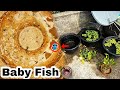 Fish Birth || Balloon Molly Giving Birth || Molly Fish Breeding || Molly fry
