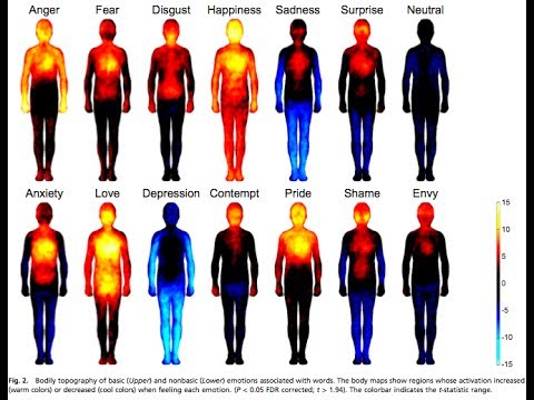 Video: Scientists Have Made Maps Of Emotional Sensations In Schizophrenics - Alternative View