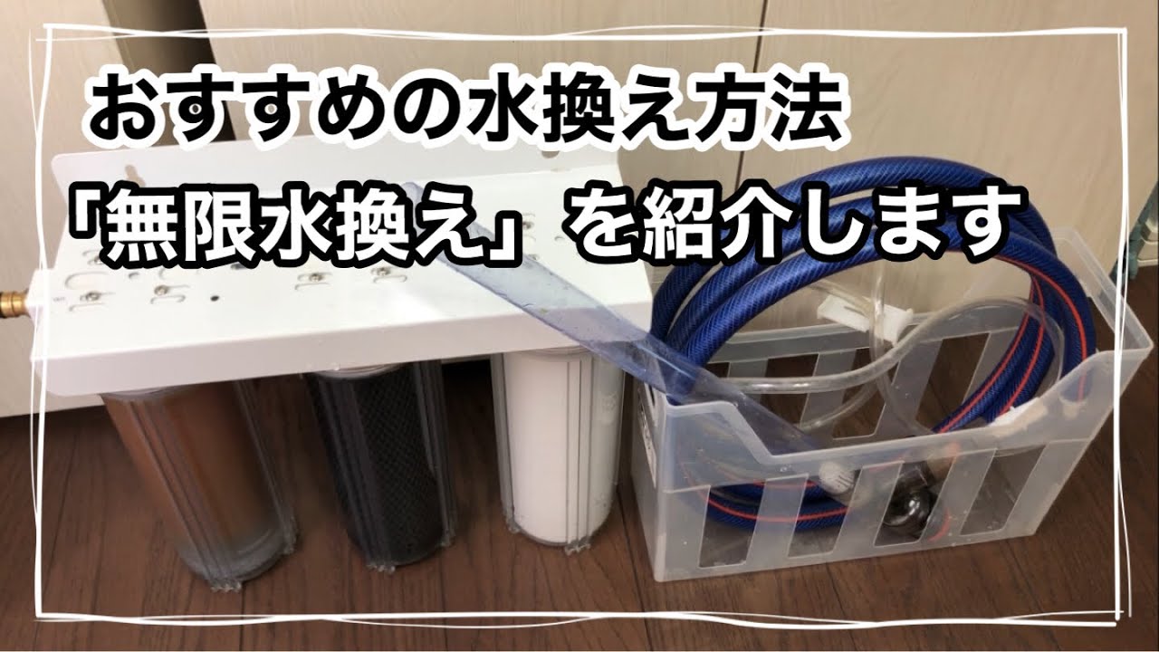 Here's our water change routine: - YouTube