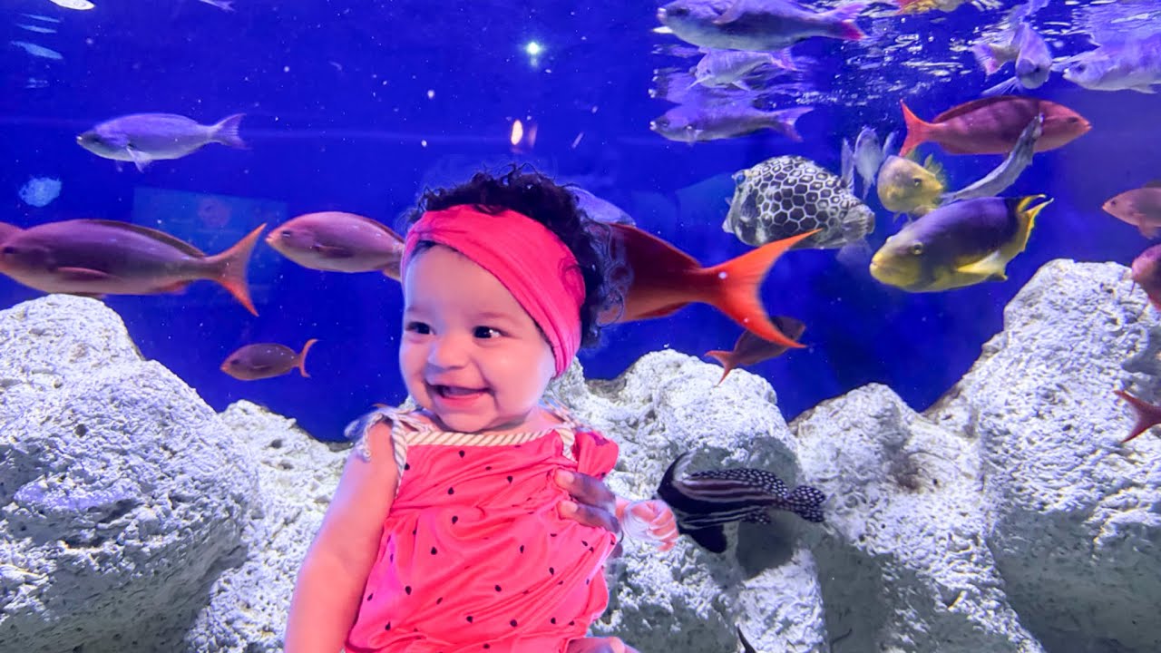 SIX MONTHS OLD GOES TO THE AQUARIUM FOR THE FIRST TIME