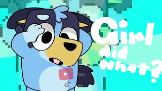 Girl Did What? Meme Animation Meme Bluey