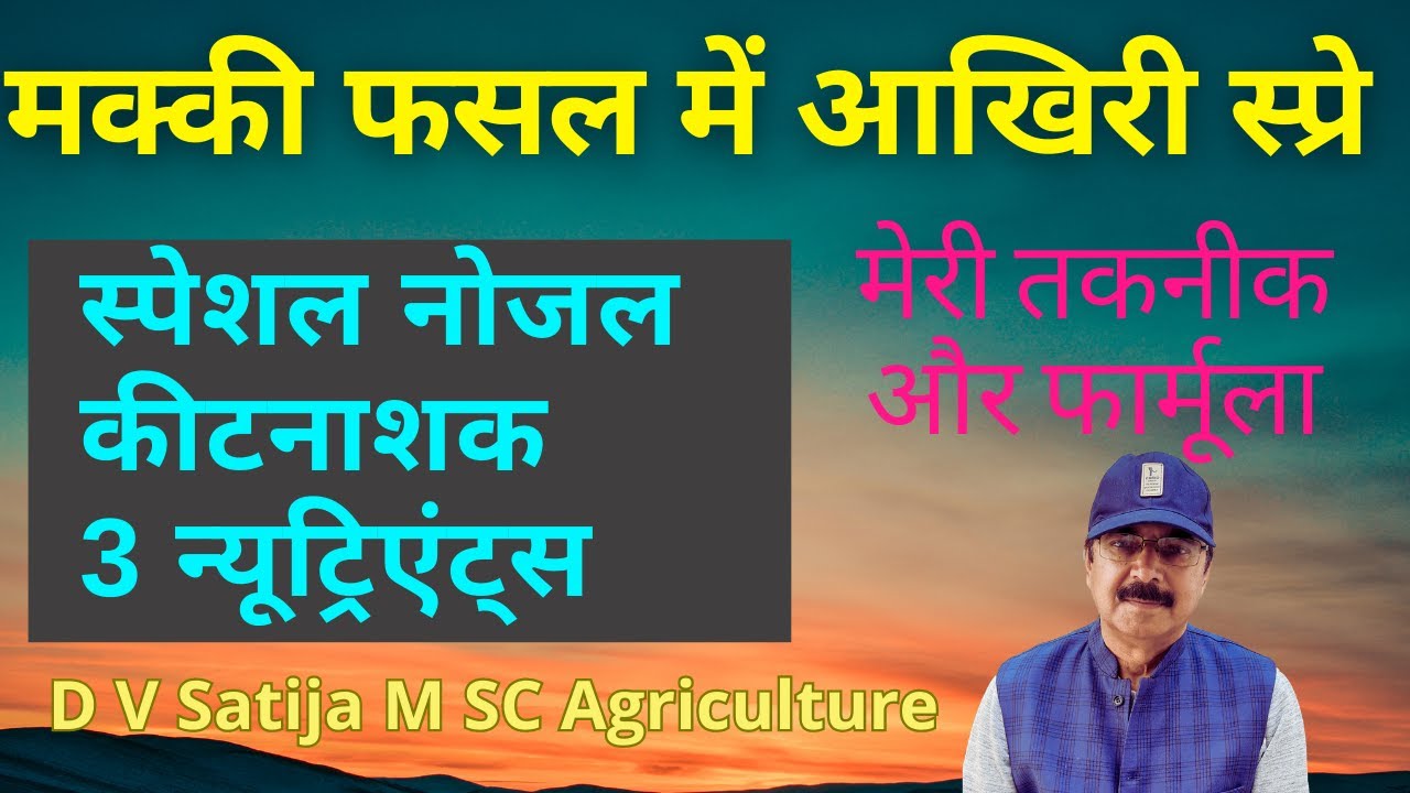 last-spray-in-maize-makki-fasal-ki-dekhbhal-flubendiamide-npk