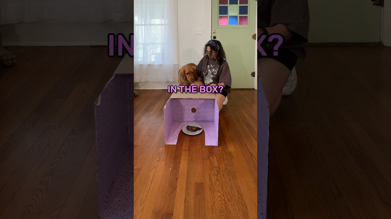 What’s in the box?