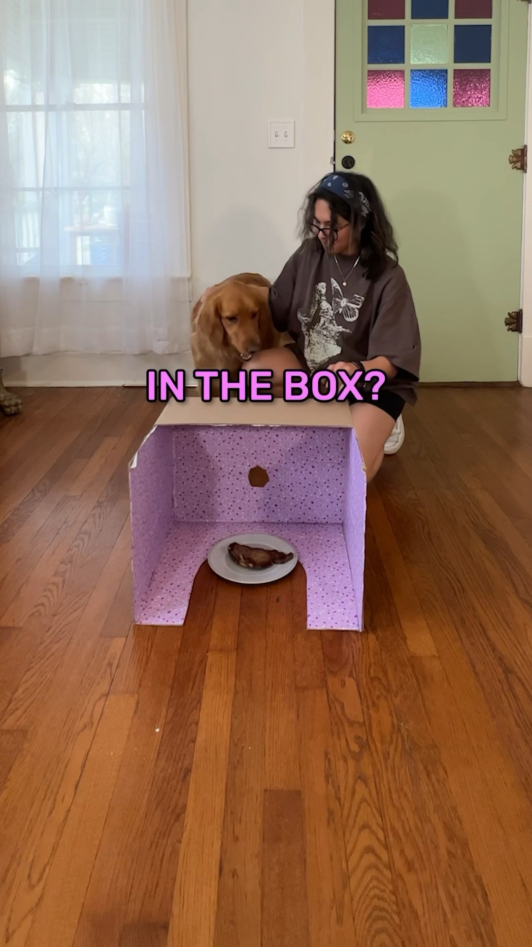 What’s in the box?