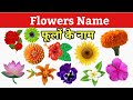 Flowers Name in english and hindi | Flowers Name | Flower Name | फूलों के नाम | phoolon ke naam