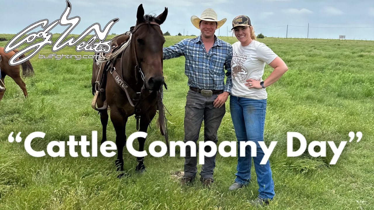 День скотоводческой компании — За скворечниками 