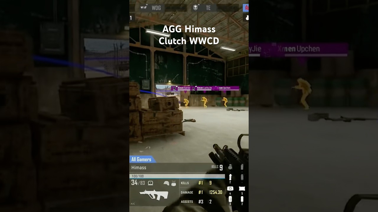 AGG Himass Clutch WWCD 