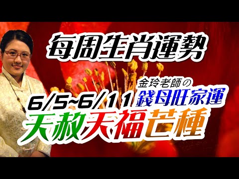 天赦補財庫。2023生肖運勢週報｜6/5-6/11｜金玲老師（有字幕）