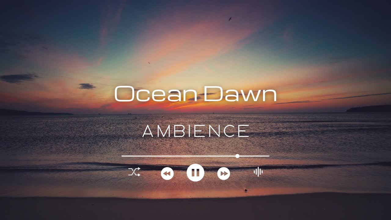 Ocean Dawn 🌊 Gentle Beach Waves | Calm Ambience for Relaxation & Sleep