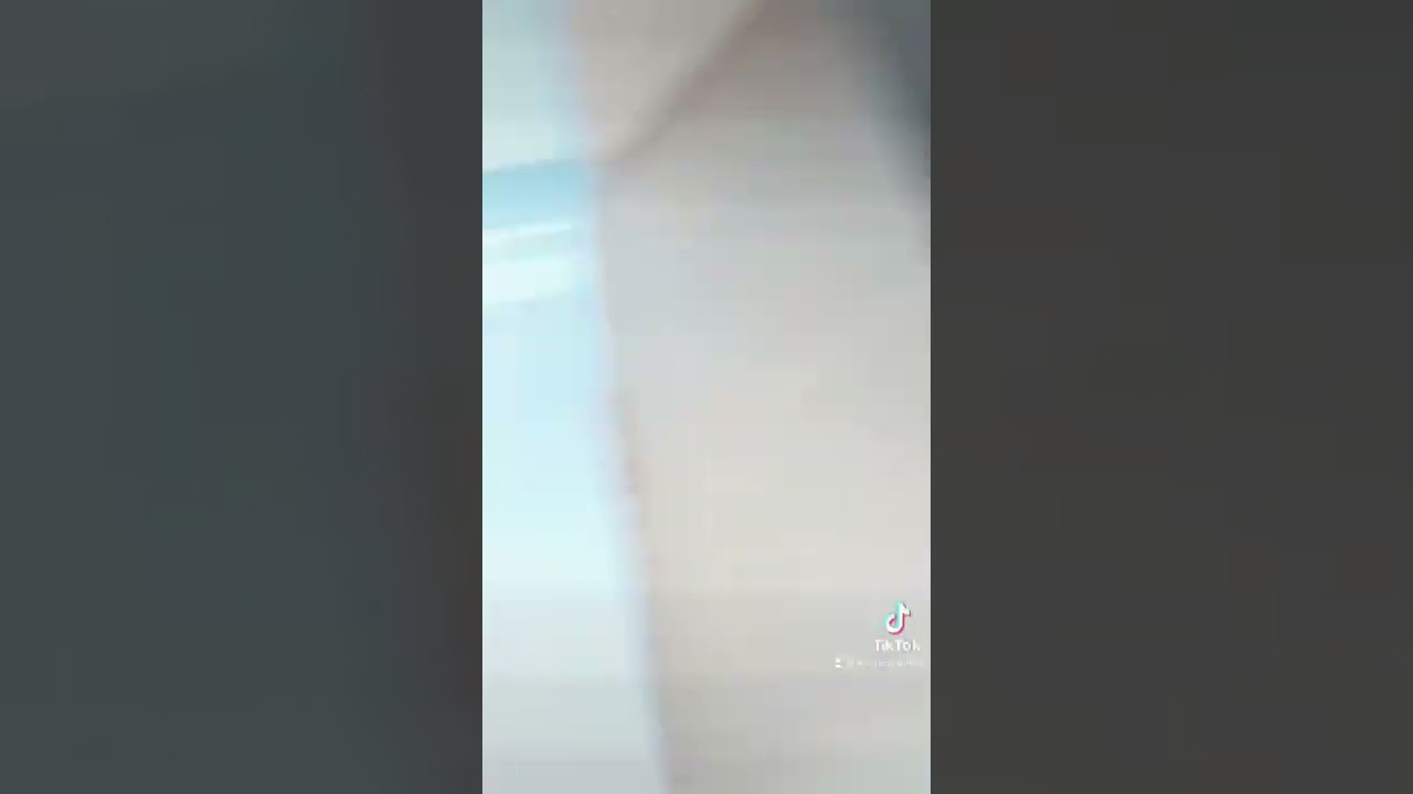 Pokémon Spring 2022 Collector’s Chest