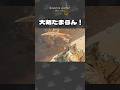 【MHWilds】モンハンワイルズの大剣もなかなかワイルド！　#モンハン #モンハンワイルズ #mhwib #shorts #mhwi #もずく