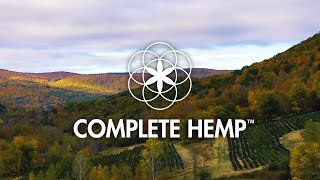 How CBD oil is made