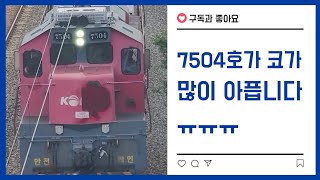7504호 코가 많이 아프네요ㅠ (3095열차)