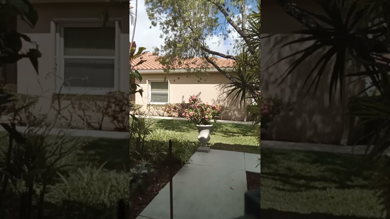 🥋 Part 3 - Taika's Encounter with Two Ancient Warriors 🎎 Ryu-te No Michi Reading 📚 by Taika Oyata 👊