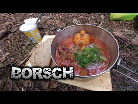 Traditionellen BORSCHT im
