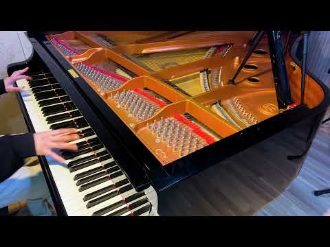 Canon D piano cover-캐논변주곡 피아노 솔로곡 편곡버전 [JaehyungLee 2023 Ver]연습중..