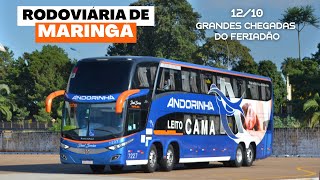 Movimentação de ônibus na Rodoviária de Maringá #14 | Diversos modelos no fluxo do feriado de 12/10.